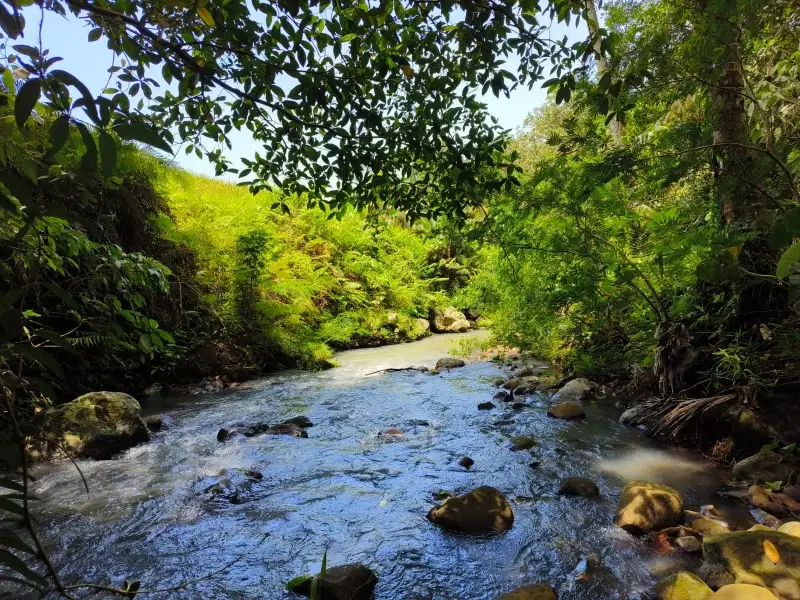 dijual tanah los sungai bebatuan view lembah di tabanan bali