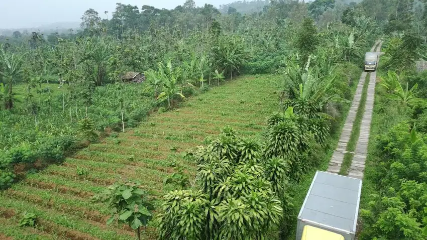 Tanah Kebun SHM Pinggir Jalan Raya Sekitar Pasar Gekbrong