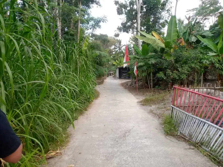 TANAH PEKARANGAN LUAS 400M AREA KARANGNONGKO