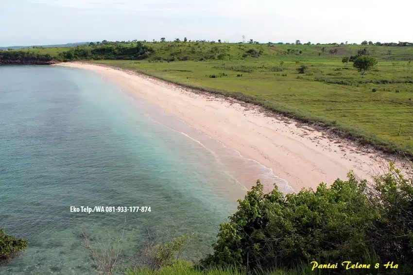 Dijual Tanah 8.6 Ha Tepi Pantai Pink Beach Telone Lombok Timur