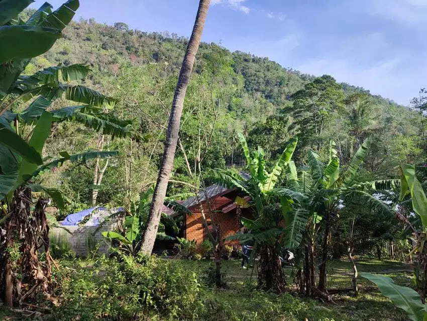 Greenery Land in Kerandangan West Lombok