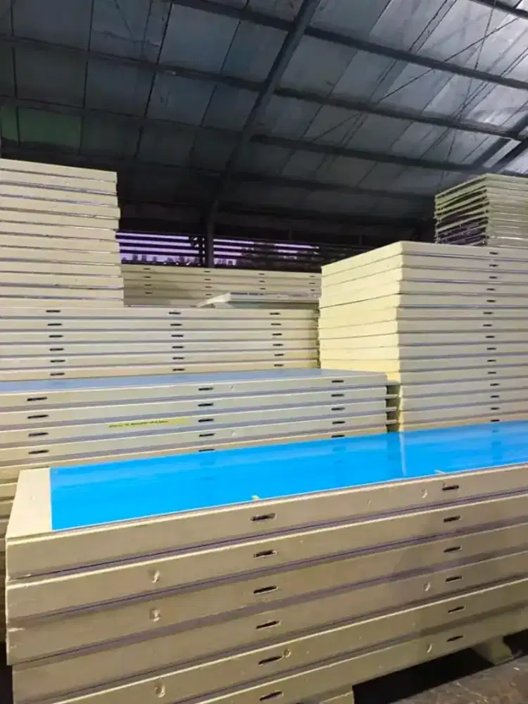 Sandwich Panel Cold Storage Cold Room