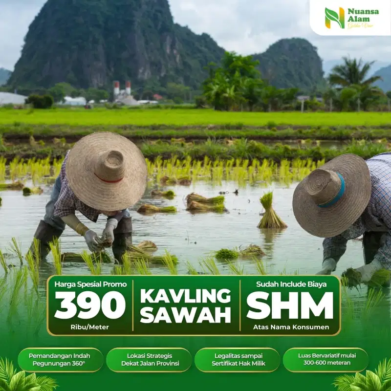 Investasi Tanah Kavling Sawah Cuma 39 Jutaan