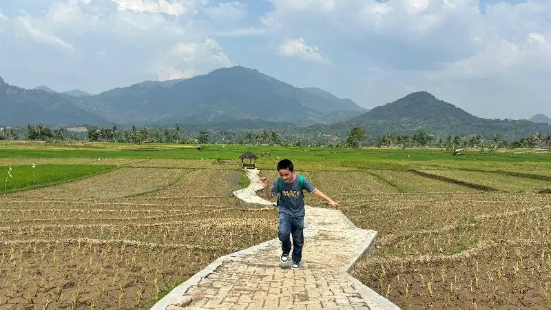 JUAL TANAH KAVLING SAWAH 390 RIBU PER METER INCLUDE SHM