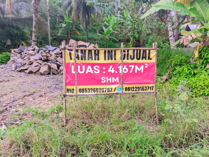 Dijual Cepat Tanah Pekarangan 4.167m² diSindanghaji Cimanggu Cilacap