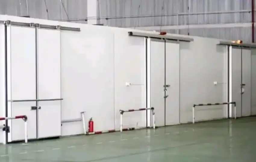Cold Storage Freezer 30 Ton