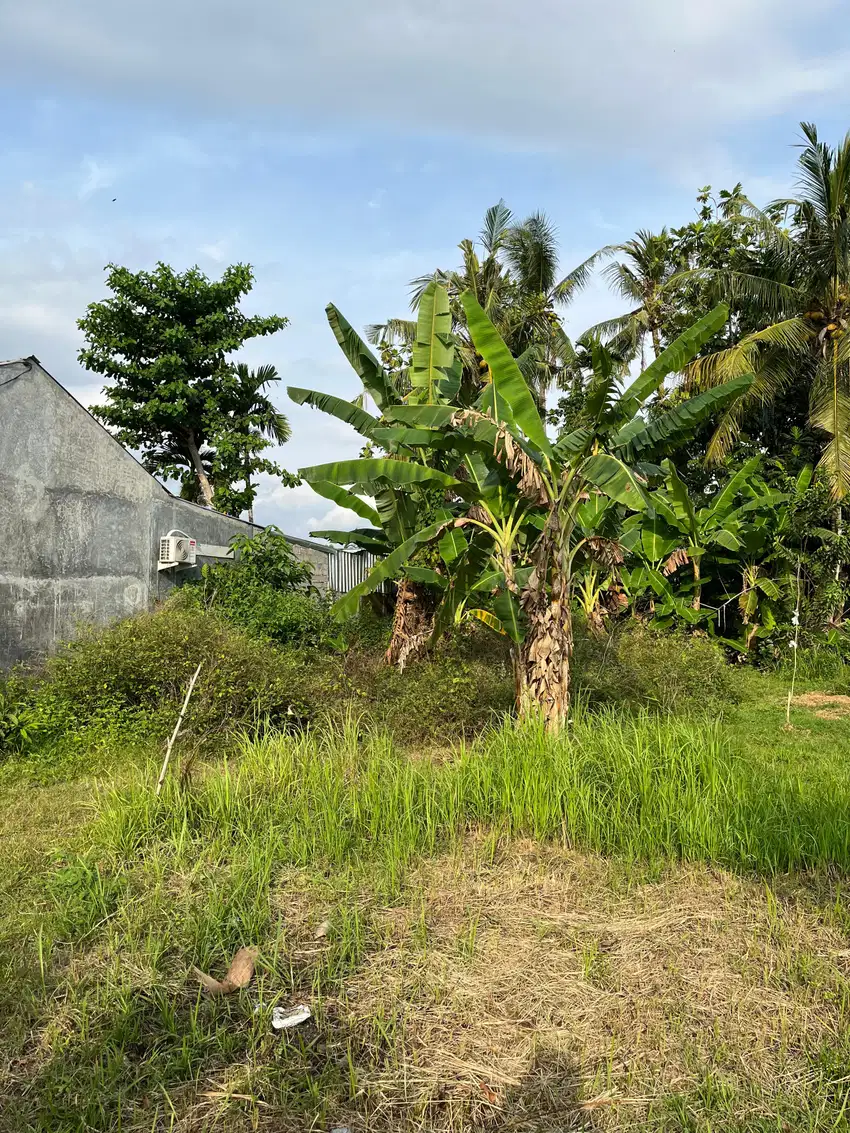 Tanah kapling di Mapak Kuranji