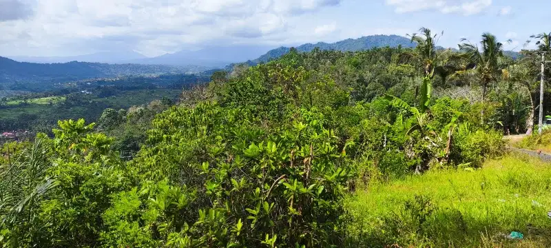 Tanah full view perbukitan di sedimen Karangasem akses jalan 7 meter