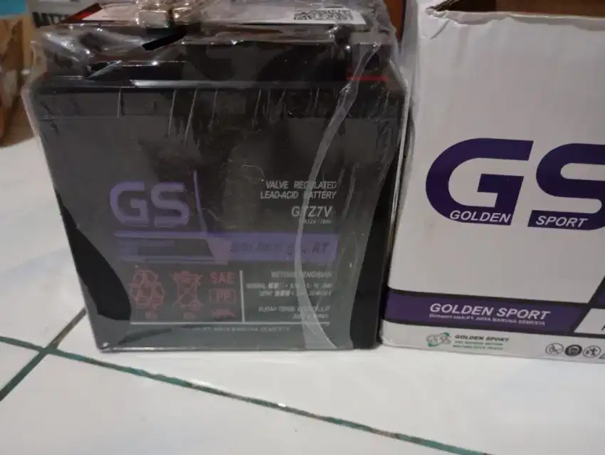 Baterai GS GTZV7