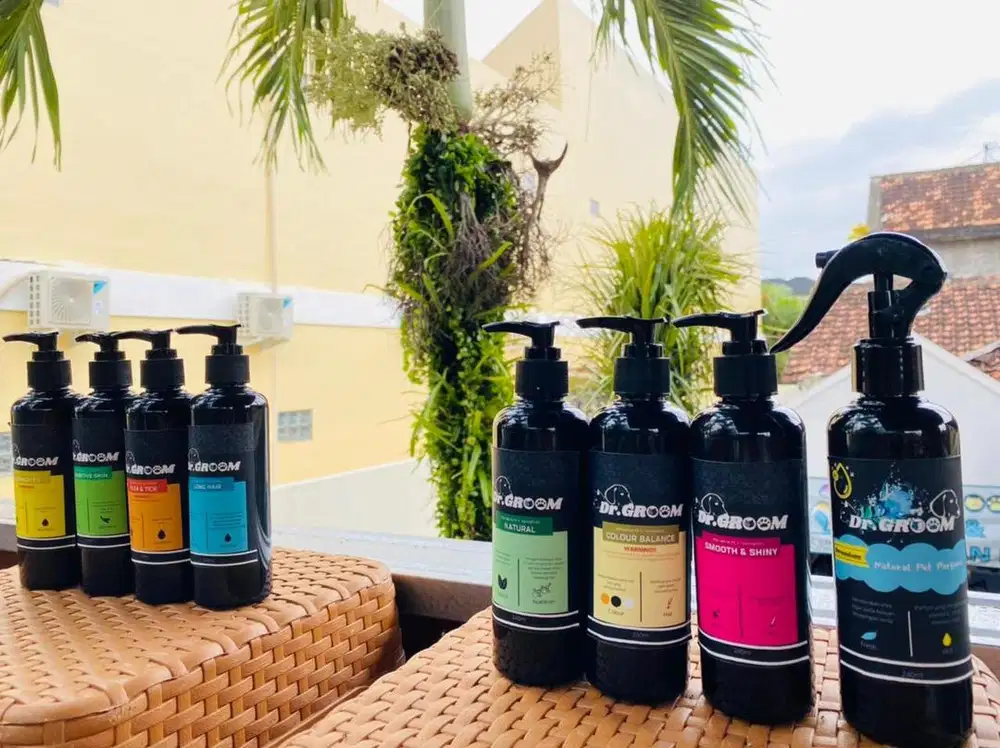 Penitipan kucing jogja, penitipan kucing murah, petshop kucing jogja