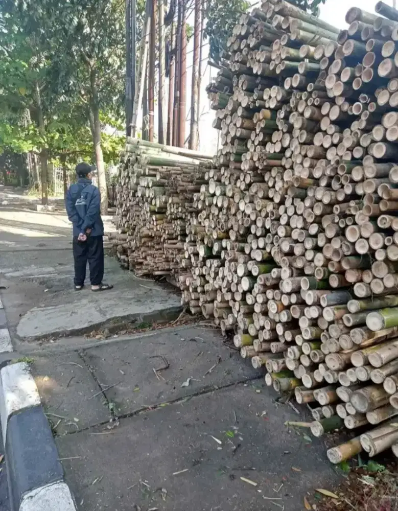 Esteger Bambu Cor , Bambu Tiang