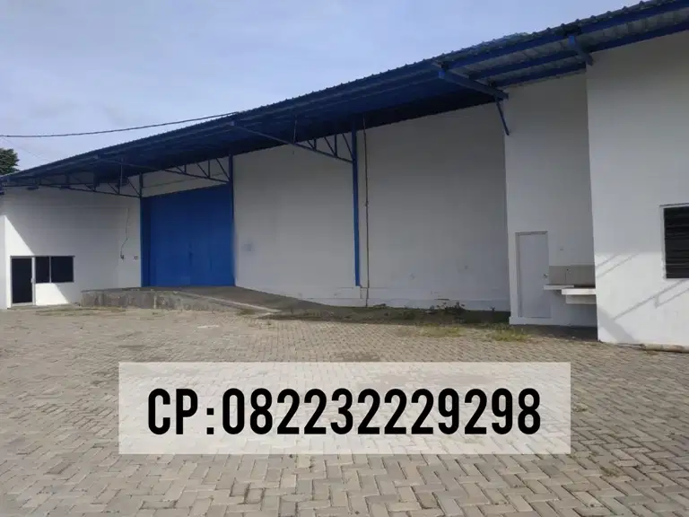 DISEWAKAN GUDANG SIAP PAKAI JEMBER