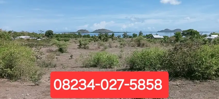 Dijual tanah di Sumbawa Barat dkt pelabuhan Poto Tano NTB