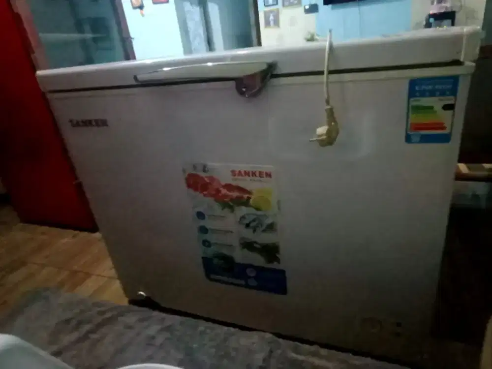 Freezer sanken second