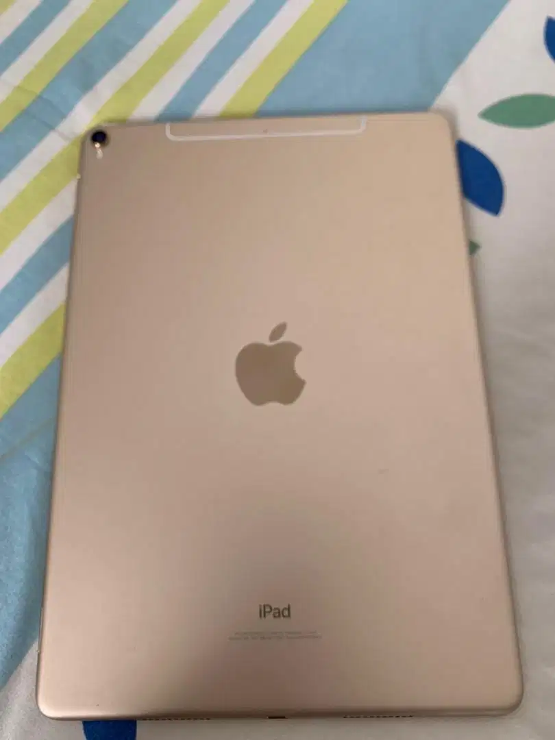 Jual iPad Pro 10.5 - 256 Gb - Wifi + Cell + Gratis Apple Pencil