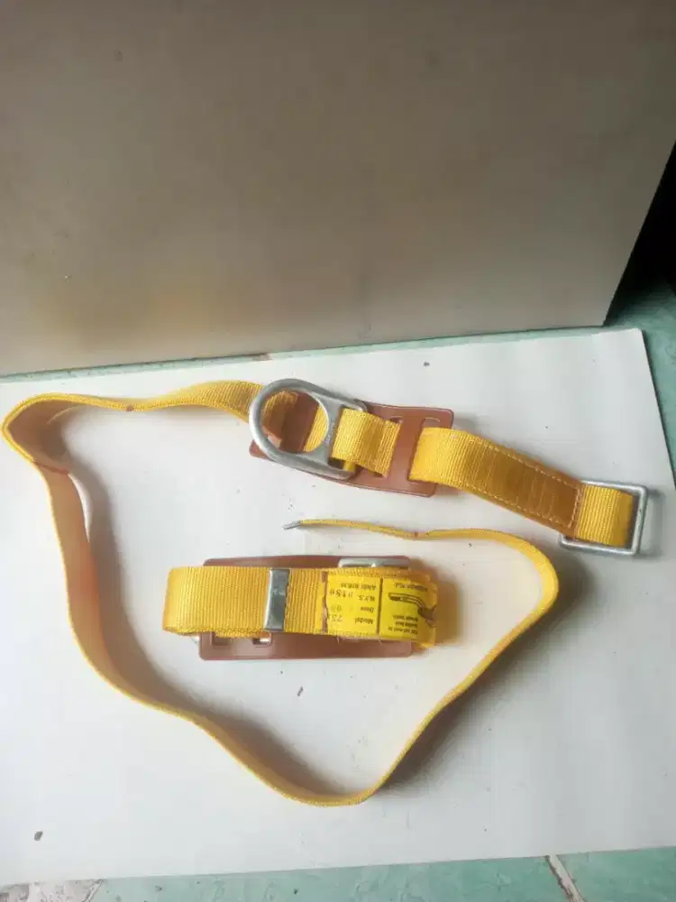 Safety belt Proyek (USA)