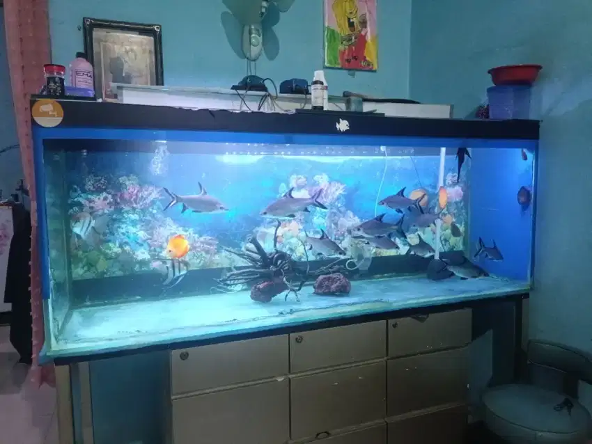 Aquarium Uk.P= 180 Cm x T = 70 Cm x L = 60 cm , 12 ML Full