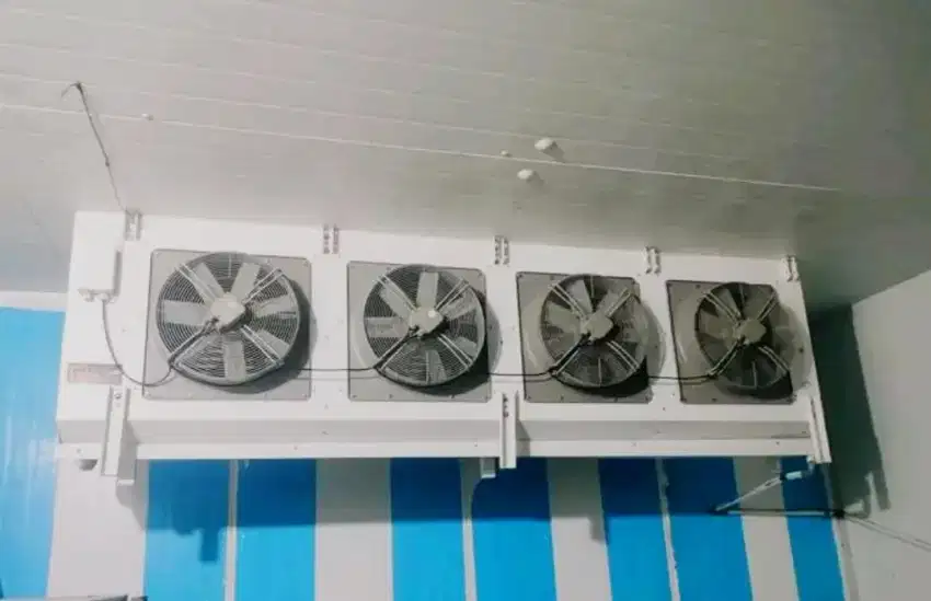 Air Blasting Freezer ABF 3 Ton