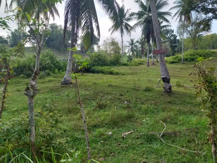 Dijual cepat tanah daerah lhok kumbang dibelakang komp panggoi bawah