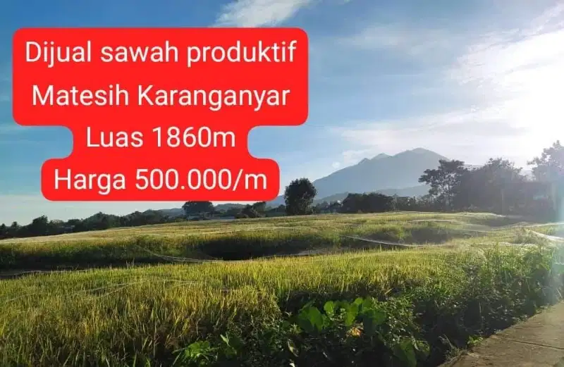 Dijual sawah produktif Matesih Karanganyar