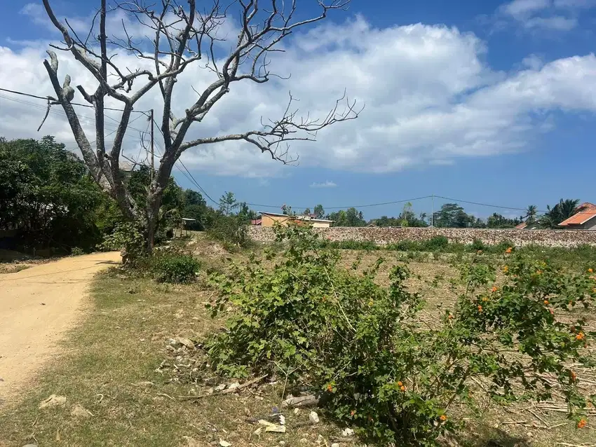 Tanah murah dekat pantai serangan Selong belanak Lombok.