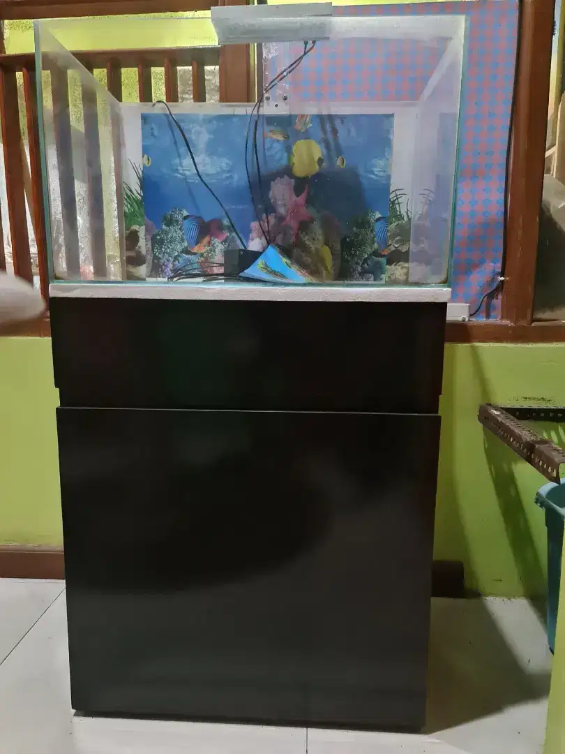 Jual Aquarium ikan hias