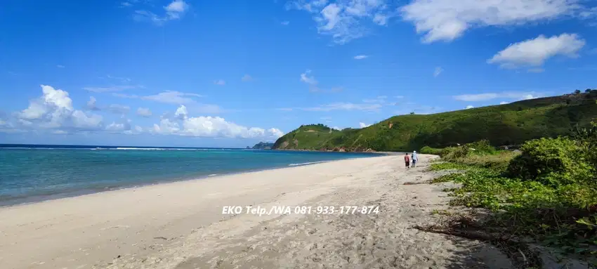 Dijual Cepat Tanah  Pasir Putih diTepi Pantai Torok Lombok - NTB