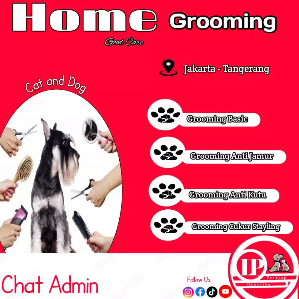 Grooming cat and dog House call kebon jeruk jakbar