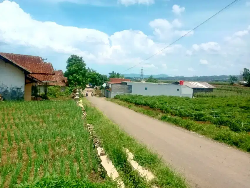 Jual Lahan Kebun di Cangkuang Cikalong Kab. bandung