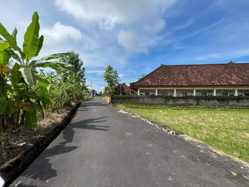 TANAH KOMERSIL LINGKUNGAN VILLA DI MUNGGU - CEMAGI