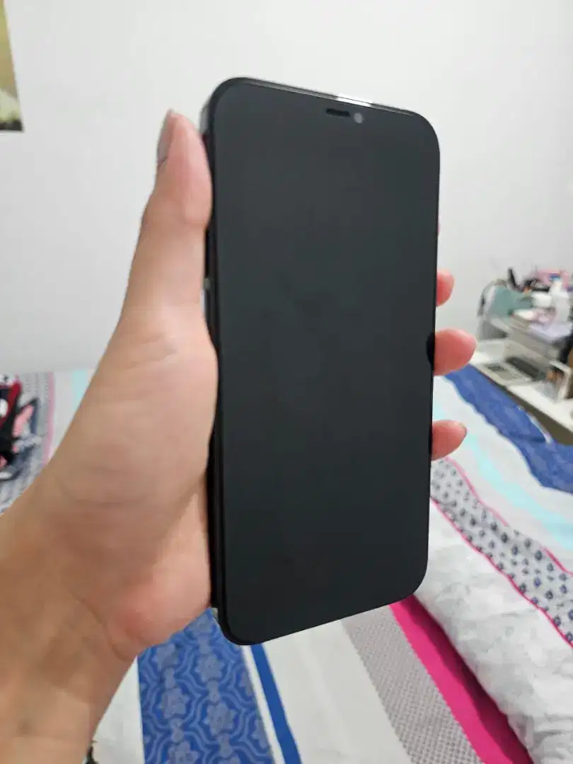 Iphone 12 Promax 256 INTER