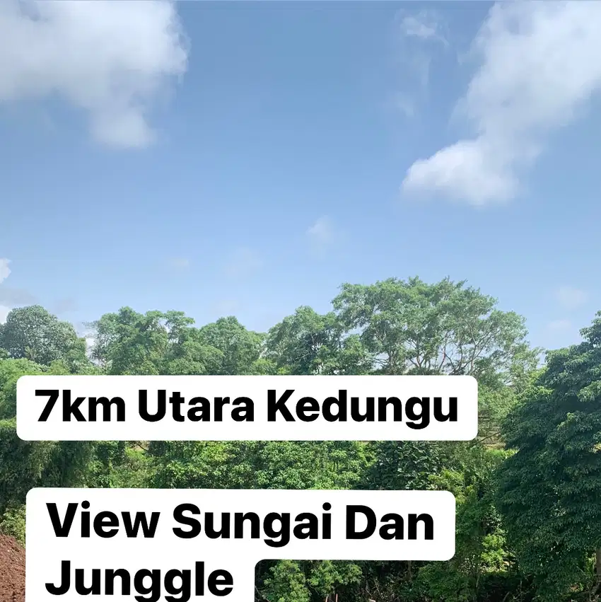 Tanah Kavling 7km  Utara Pantai Kedungu