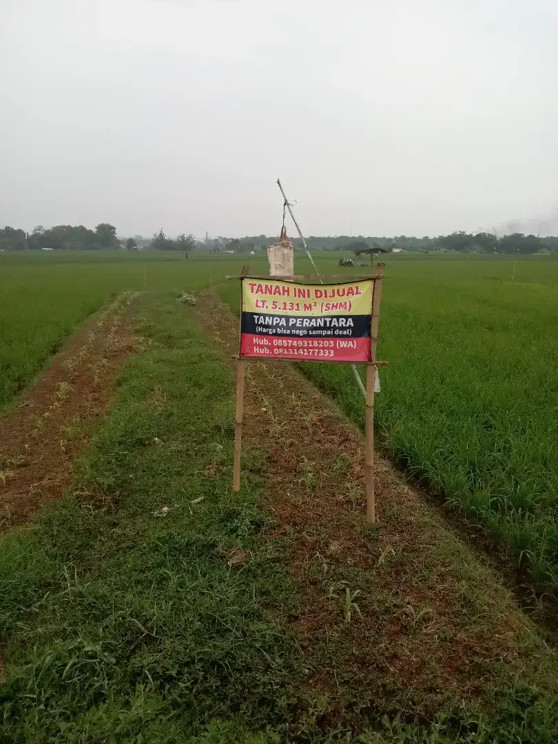 DIJUAL TANAH SAWAH