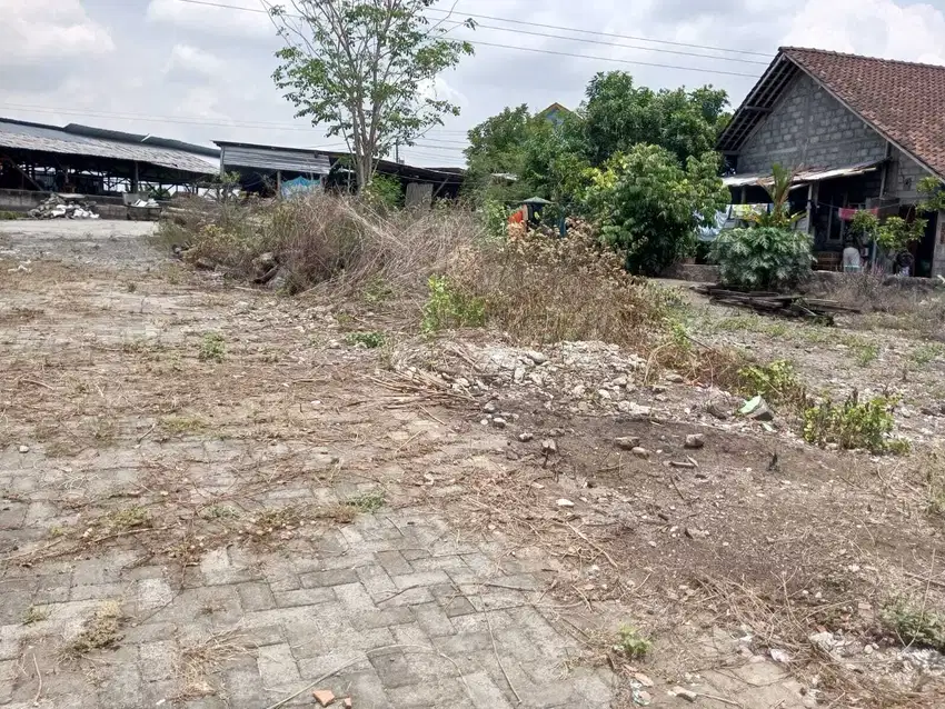 Tanah Murah di Sleman 2 Jtaan Sertifikat Hak Milik Dekat Jalan Solo