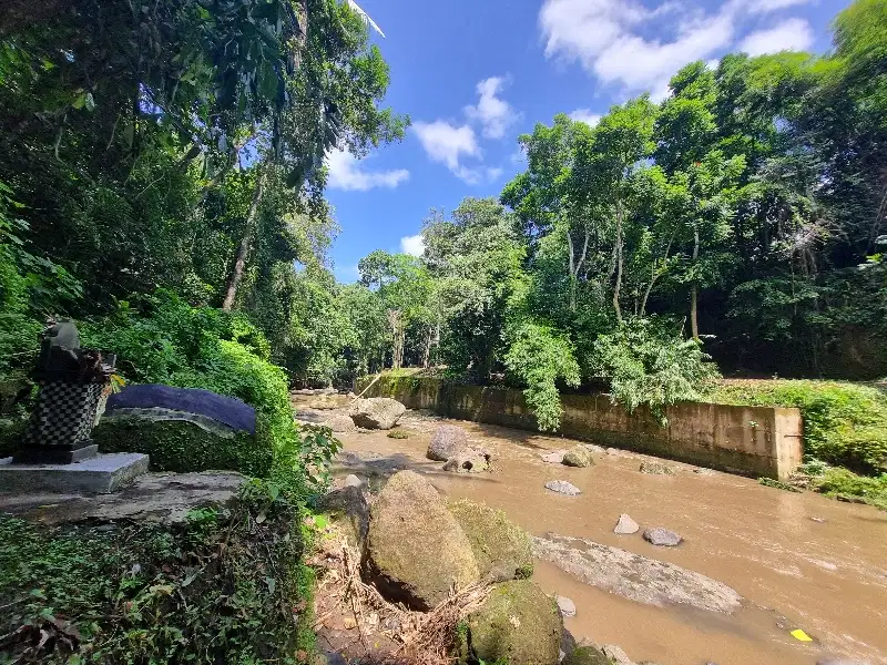 BEAUTIFUL RIVERSIDE LAND NEAR CANGGU PERFECT FOR RETREAT