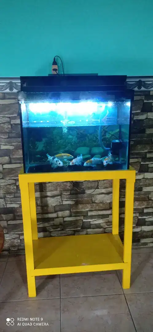 Jual aquarium komplit dan isinya ikan koi 6 ekor dan kaki aquarium