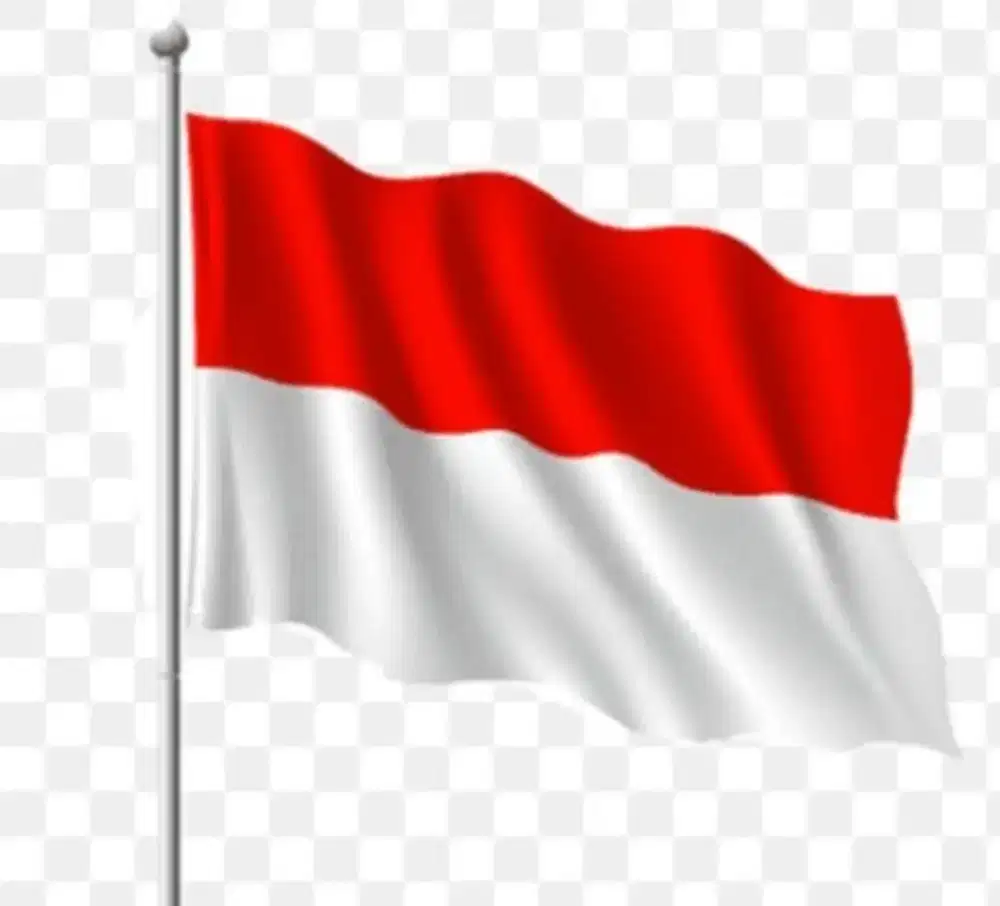 Mencari lowongan driver kantor/ direksi