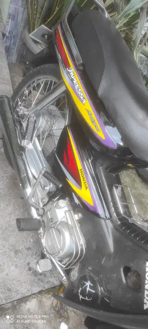 Astrea impressa