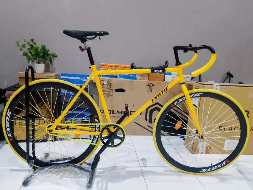 Sepeda FIXIE EXOTIC TORPEDO 700C WARNA TERBARU 2025