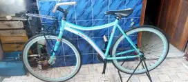 sepeda commuter bike/ fixie brain alloy/almunium