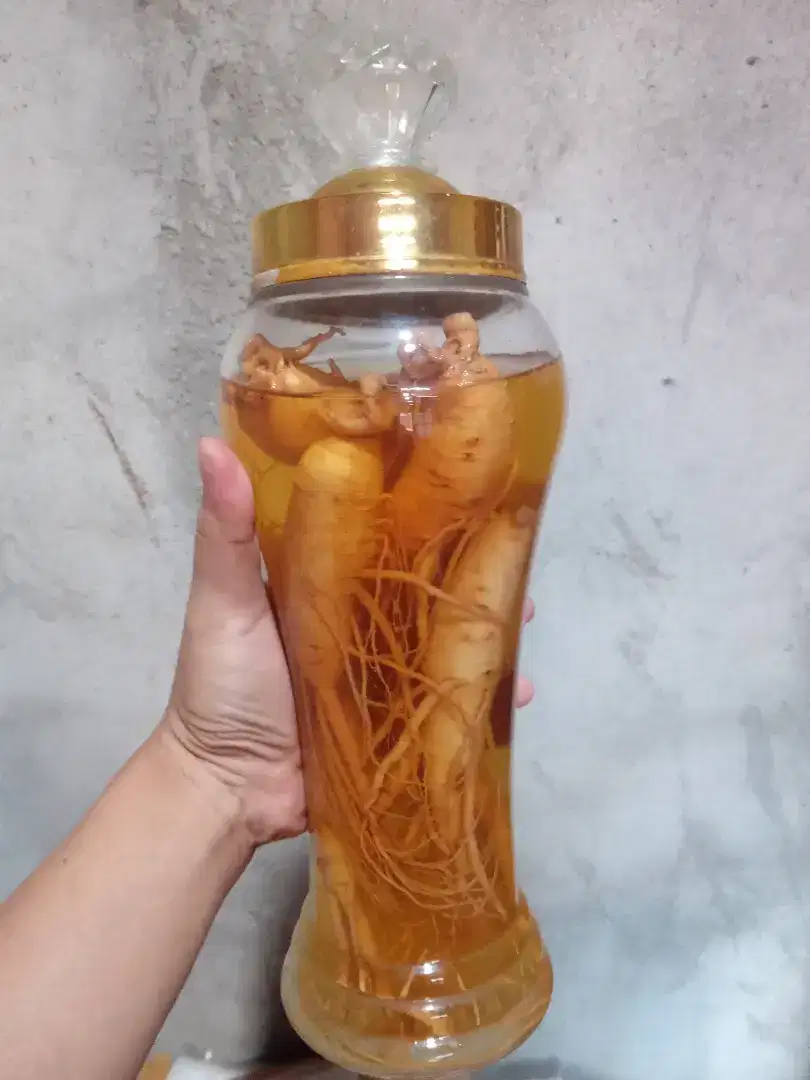 Ginseng Asli Korea