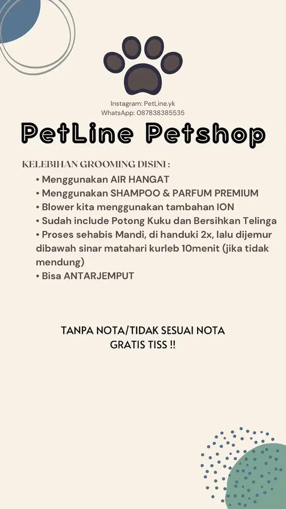 Grooming kucing jogja, grooming kucing murah, petshop jogja