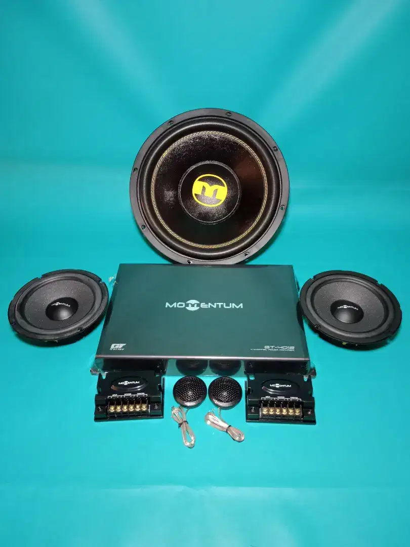 Ples Pasang Power MOMENTUM Speaker Split MOMENTUM & Subwoofer MOMENTUM