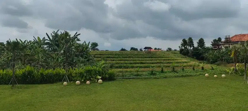 Villa babakan Canggu badung