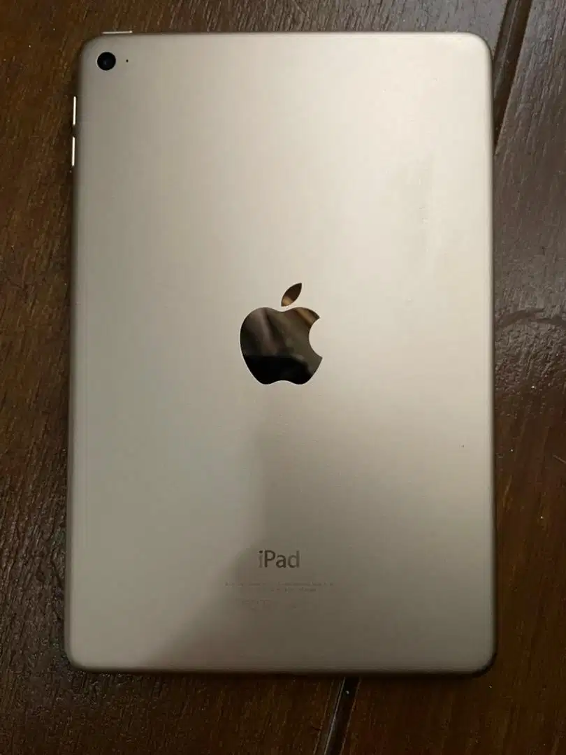 Ipad mini 4 wifi only