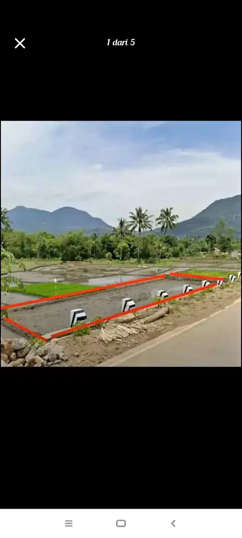 Tanah sawah akses jalur mobil