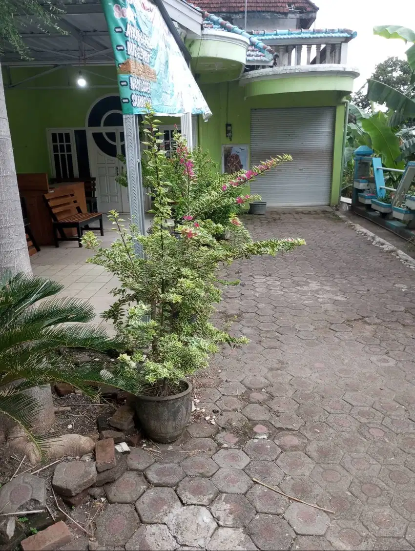 Di jual rumah siap huni