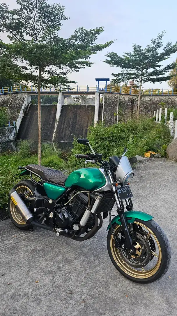 Kawasami Ninja 250 Custom Street Scrambler