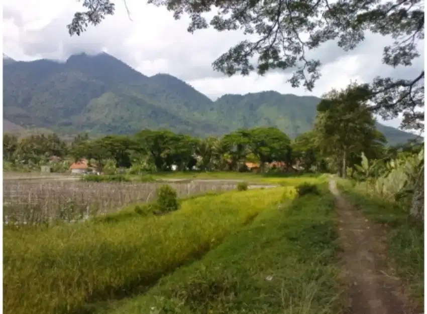 Dijual Tanah di area wisata Cipanas Garut