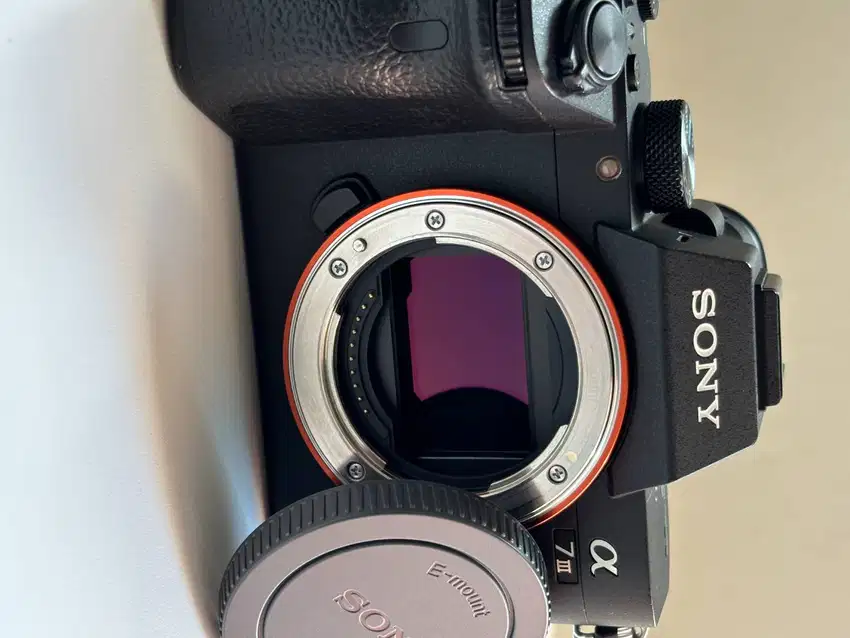 SONY A7 III (MARK 3)